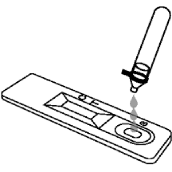 untitled design 2026 01 12t102207.688